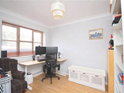 Picture 7